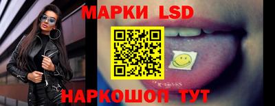 гидра Новозыбков
