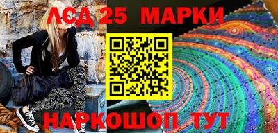 гидра Новозыбков