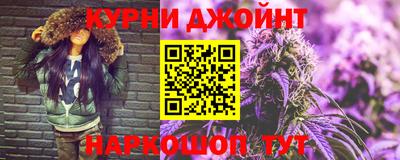 гидра Новозыбков
