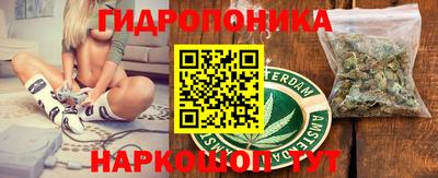ешки Новокубанск