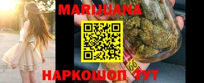 гидра Новозыбков