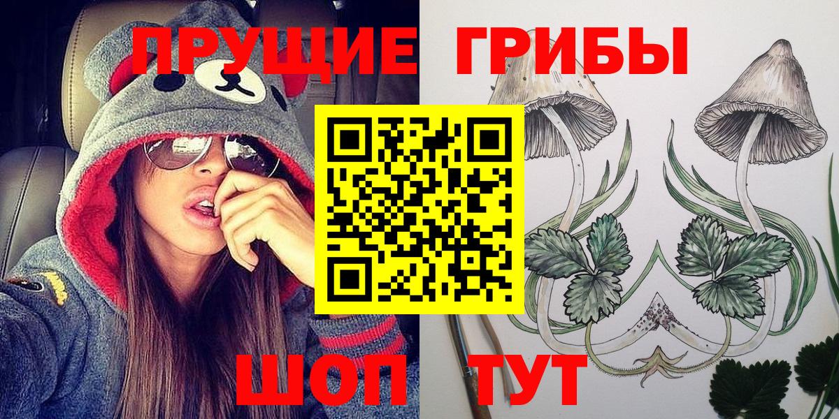 Скопин  Галлюциногенные грибы Psilocybe  купить наркоту  Вход с VPN 